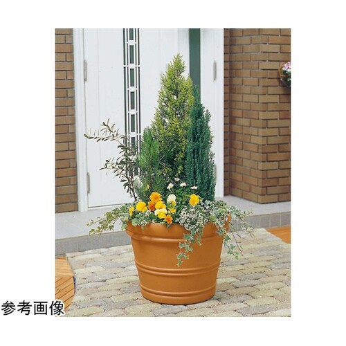 バレンシアポット 20号 ブラウン