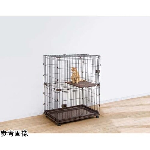 コンビネーションサークル ウォールナット