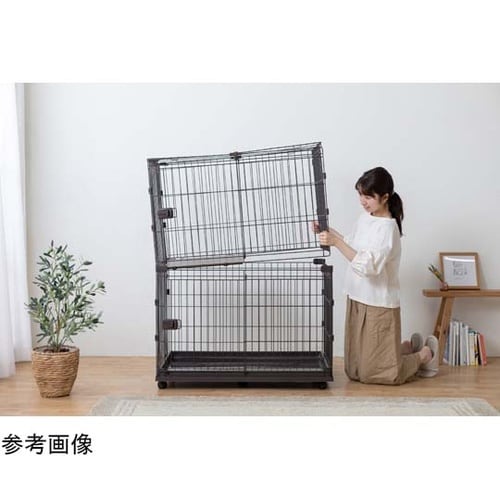 コンビネーションサークル ウォールナット