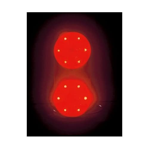 RK3R ラビットアイ