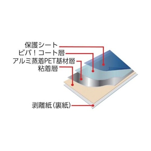 TN100MS3 ビバフィルム