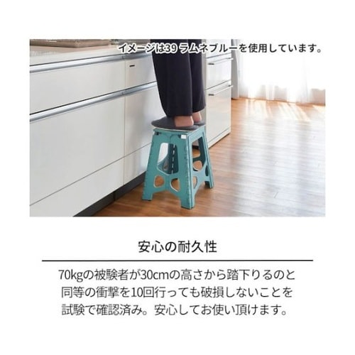 811000770 ステップ39ブルー