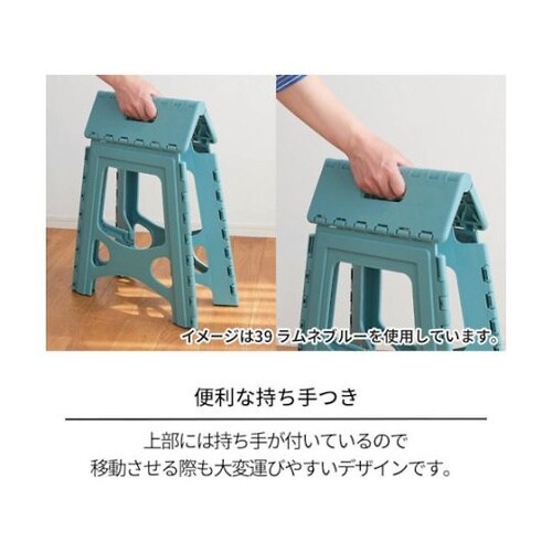 811000767 ステップ39ブラック