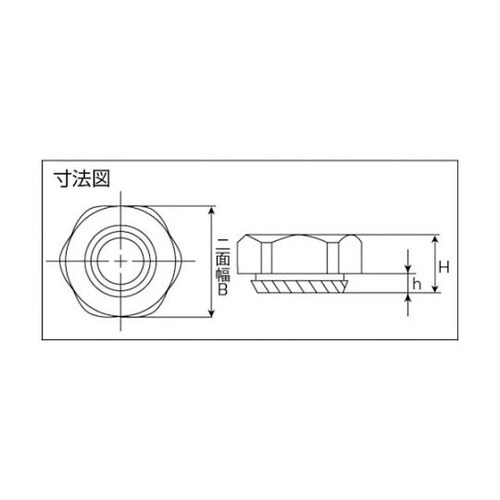 S819 カレイナット/M8 200個