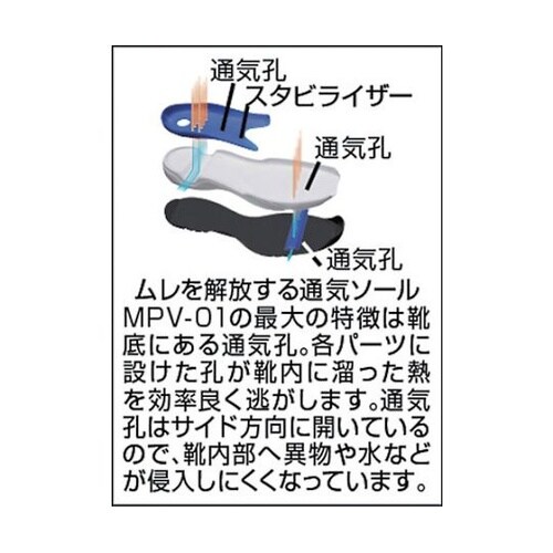 JSAA A種認定 先芯入り通気底スニー