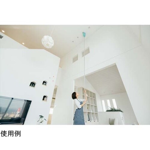 ムーンダスター NF−EX 5M