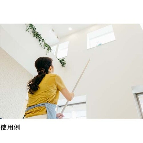 ムーンダスター NF−EX 5M