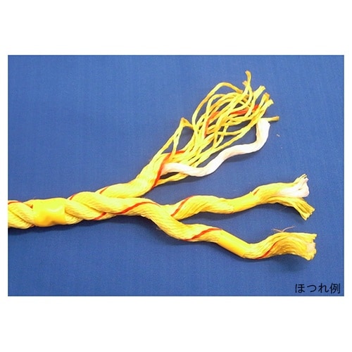 NEW−TETORON−1620 親綱