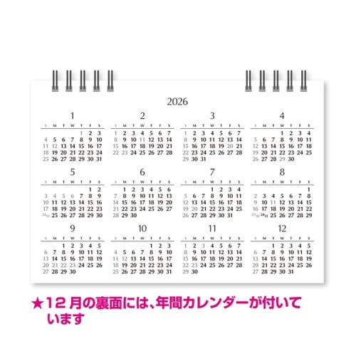 卓上カレンダー デスクスケジュール NK