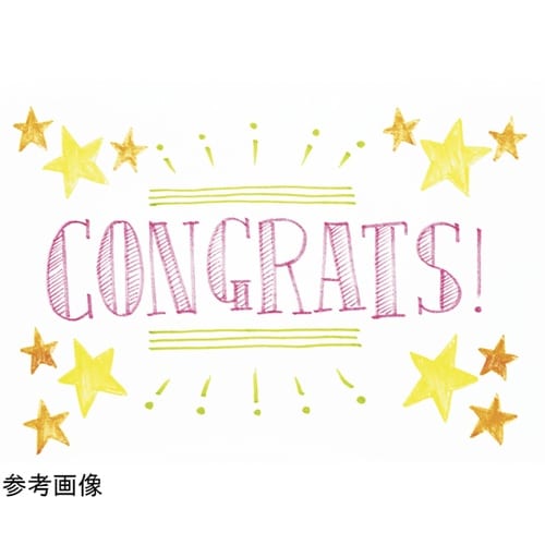 カラー筆ペン 筆タッチサインペン 蛍光レ