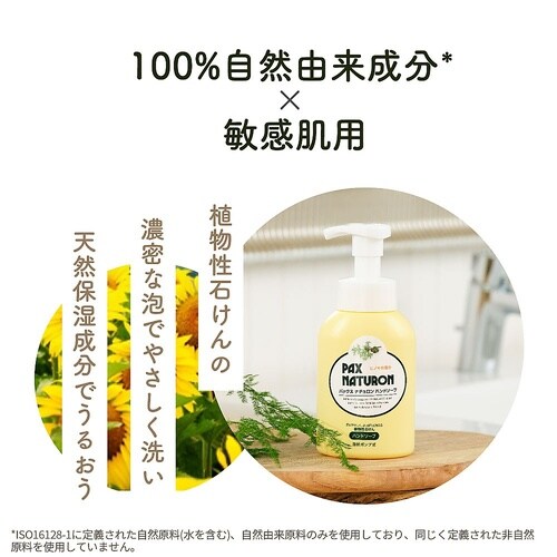 詰替用 ナチュロンハンドソープN 450