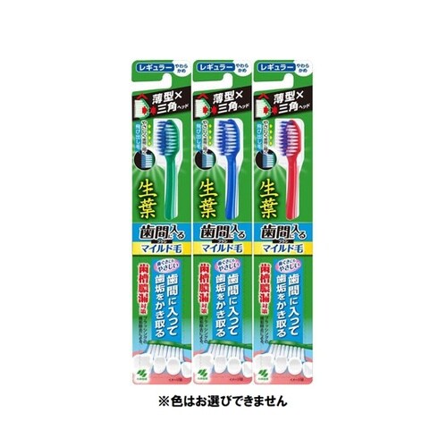 生葉歯間に入るブラシ マイルド毛 レギュ