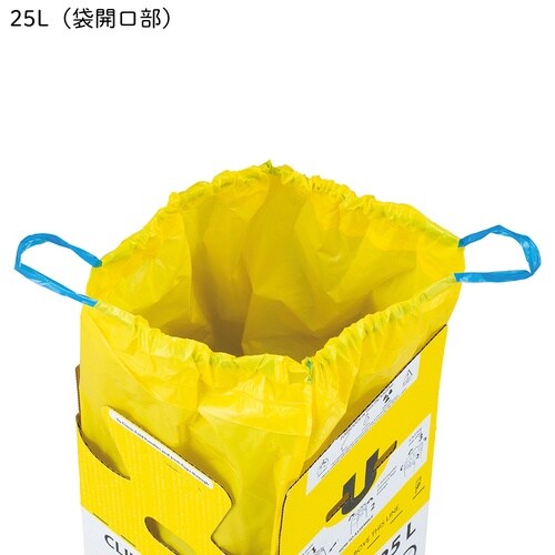 感染性廃棄物ボックス Sanibox 2