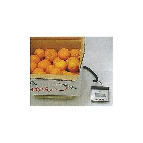 100kg(500g) デジタル台はかり