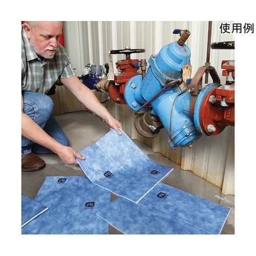 ピグ吸水マット 10枚入 WTR0071