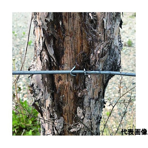 又釘 (径:d)1.7x(長さ:L)25