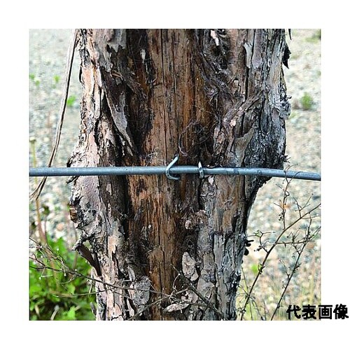 又釘 (径:d)2.7x(長さ:L)38