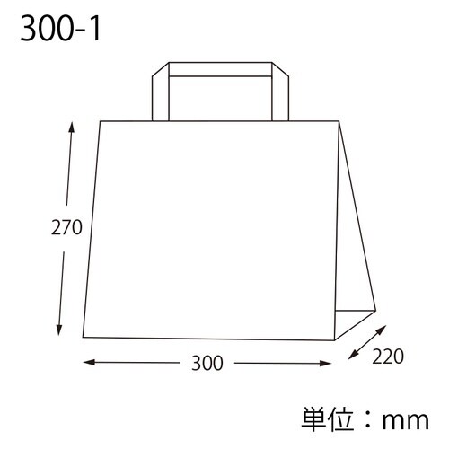 HフラットCB 300−1 エコアッシュ