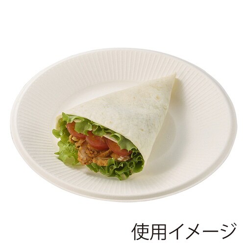 バガスプレート ホワイト 21cm 50枚入×16