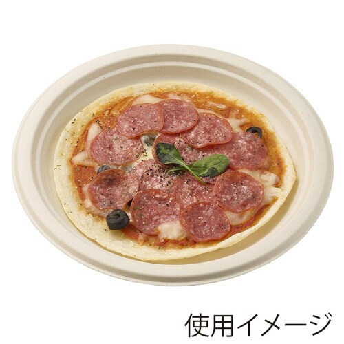 バガス深皿プレートクラフト23cm 50枚入×16