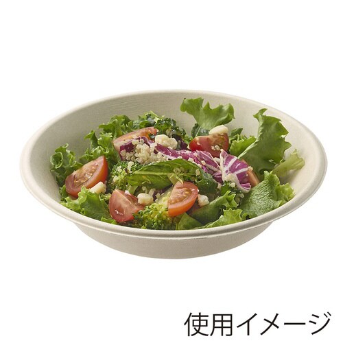 バガスボウル クラフト 600ml 50枚入×16