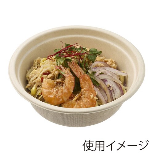 バガスどんぶり クラフト600ml 50枚入×16