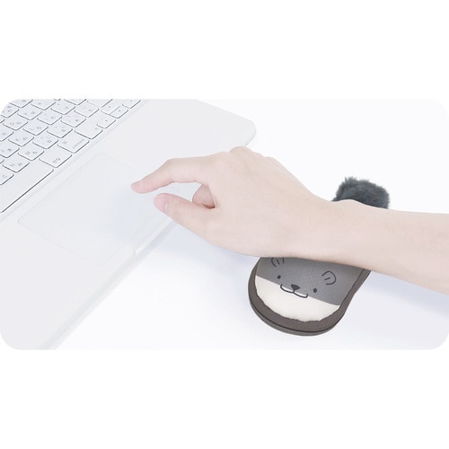 リララミニ(カワウソ)×3