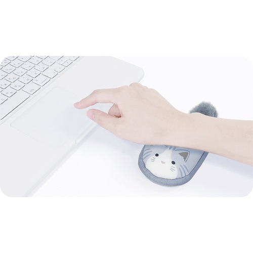 リララミニ(サバトラ)×3