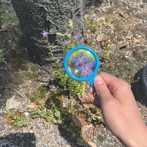 学童むしめがね45mm(ブルー)×5
