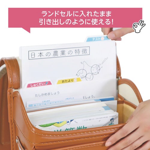 プリント持ち帰りファイル&ケース×3