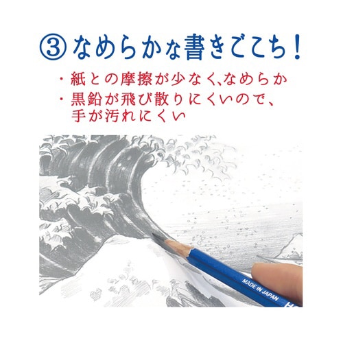 ホクサイン(B)×12