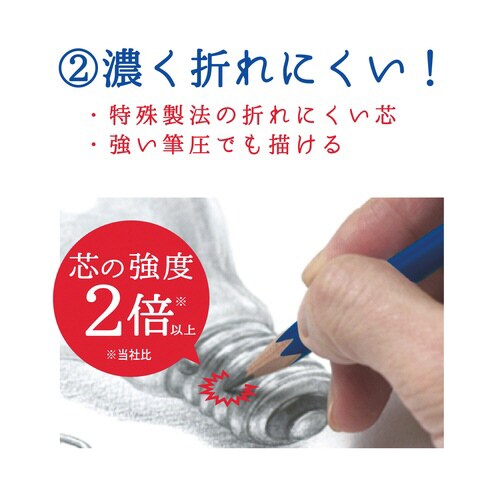 ホクサイン(2B)×12