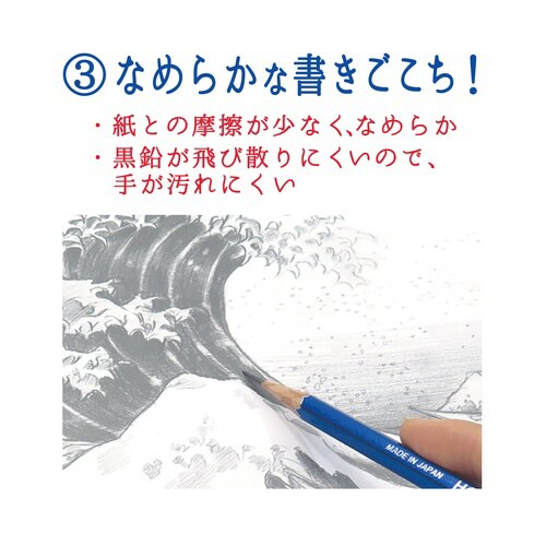 ホクサイン(3B)×12