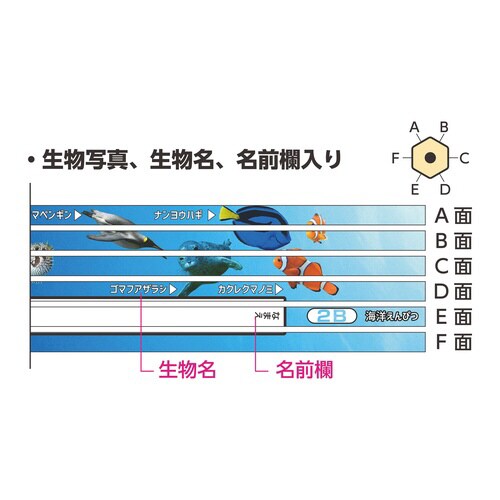 海洋えんぴつ(2B)×5