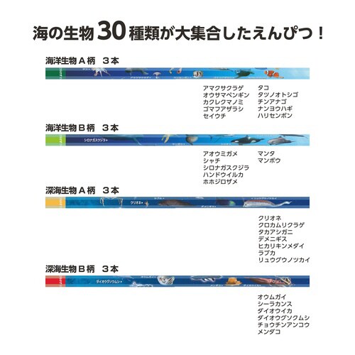 海洋えんぴつ(2B)×5