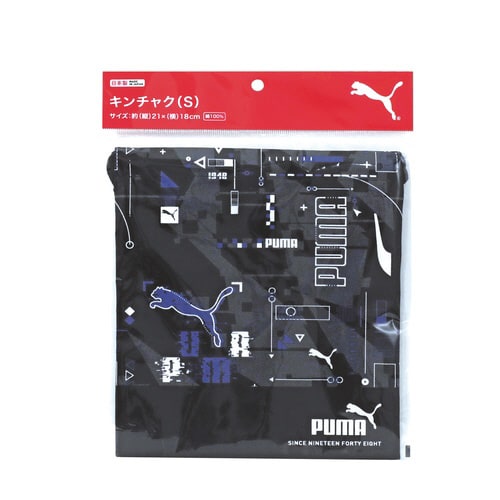 キンチャク(S)×5