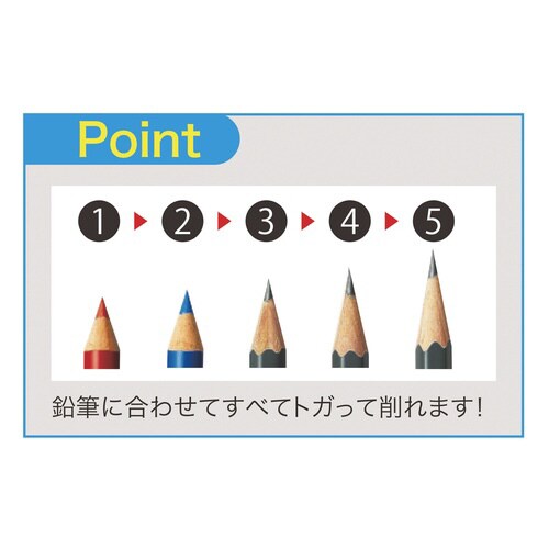 鉛筆削りトガール(パープル)×5
