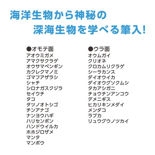 学べる2ドア筆入(海洋生物)×5