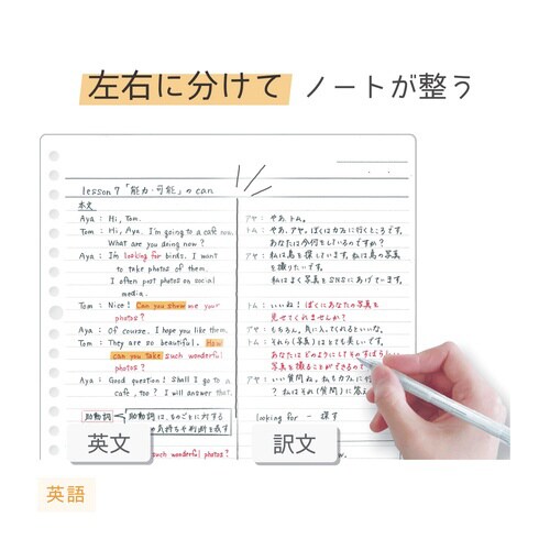 わけありしたじき2分割・パープル×10