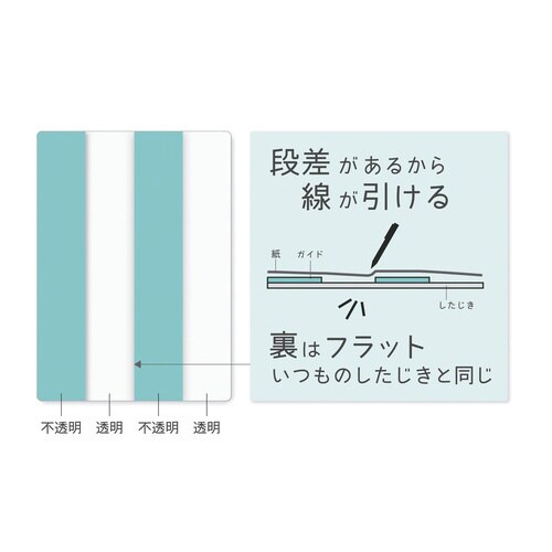 わけありしたじき4分割・ミント×10