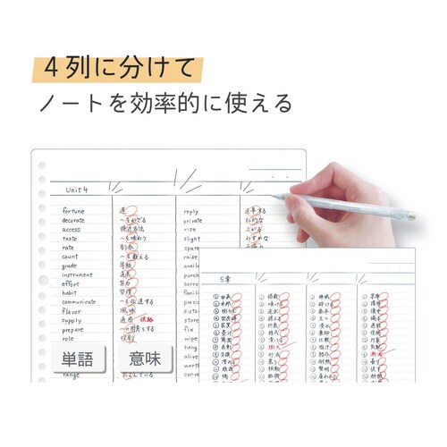 わけありしたじき4分割・ミント×10