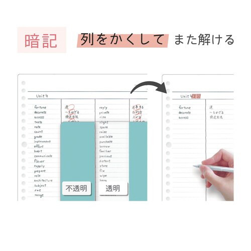 わけありしたじき4分割・ミント×10