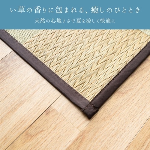 い草ラグ DXサラ BR 261×352cm