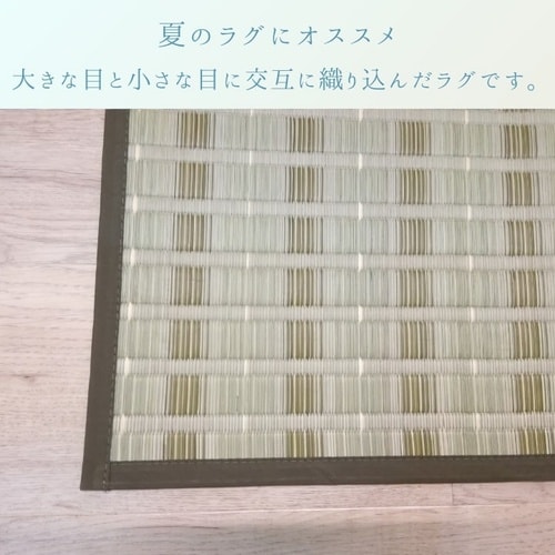 い草ラグ 清風 348×352cm