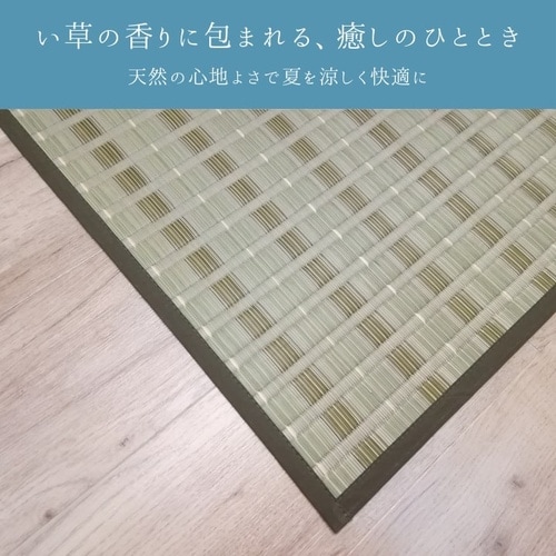 い草ラグ 清風 348×352cm