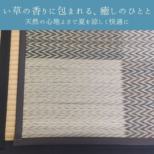 い草ラグ DXモンド BR 261×352cm