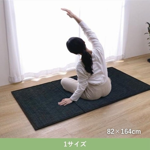 置き畳 スタイル GY 82×164cm