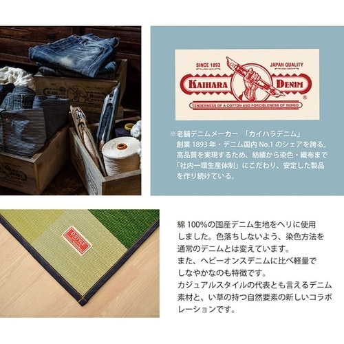 い草ラグ アルディ GN 191×250cm