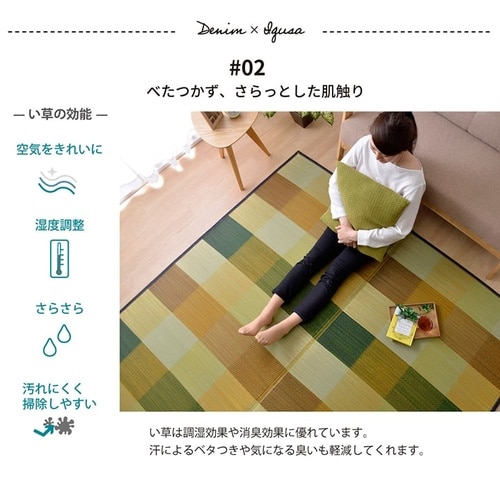 い草ラグ アルディ NV 191×250cm