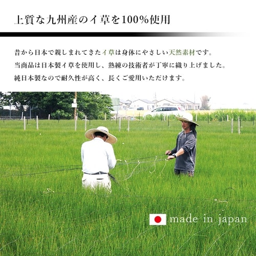 マット ラルフ BL 70×120cm